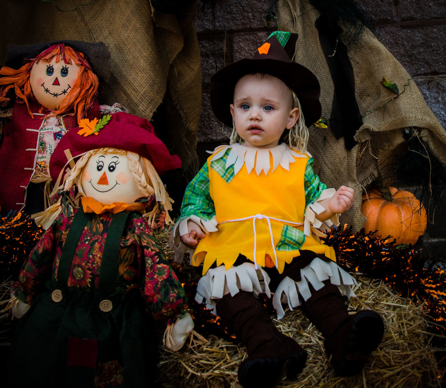 Pumpkins in the Park